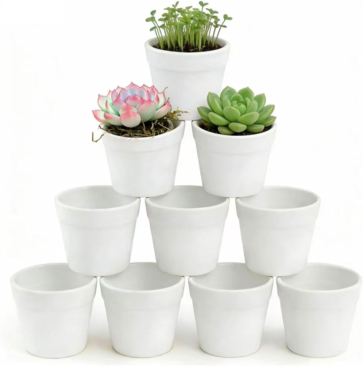 Lot Von 10 Kleinen Töpfen In Fleurs, Blancs, Aufblasbar, Idyllischer Kaktus, Pflanzengräser, Kräuter (umschlag Ø 7 Cm X Höhe 6 Cm)