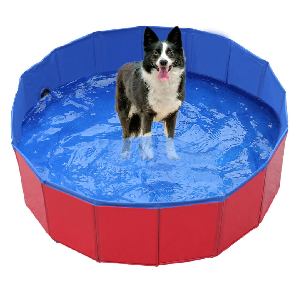 Biegsames Schwimmbad Für Hund Und Katze – Aus Pvc – Anti-dérapante – Mit Ventil Für Leben – Für Hund Und Katze – 80 X 20 Cm