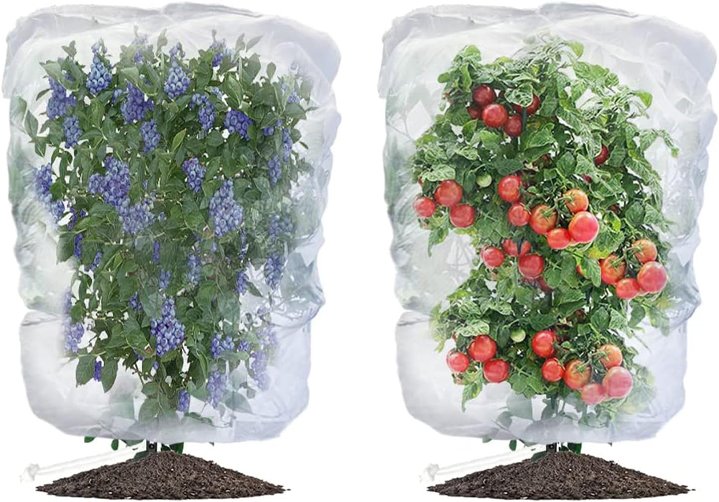 Filet Arbre Fruitier, Filet Anti-insekten Für Pflanzen, Filet De Protection Contre Les Insectes, Zum Schutz Der Pflanzen Im Topf (0,7 X 1 M)