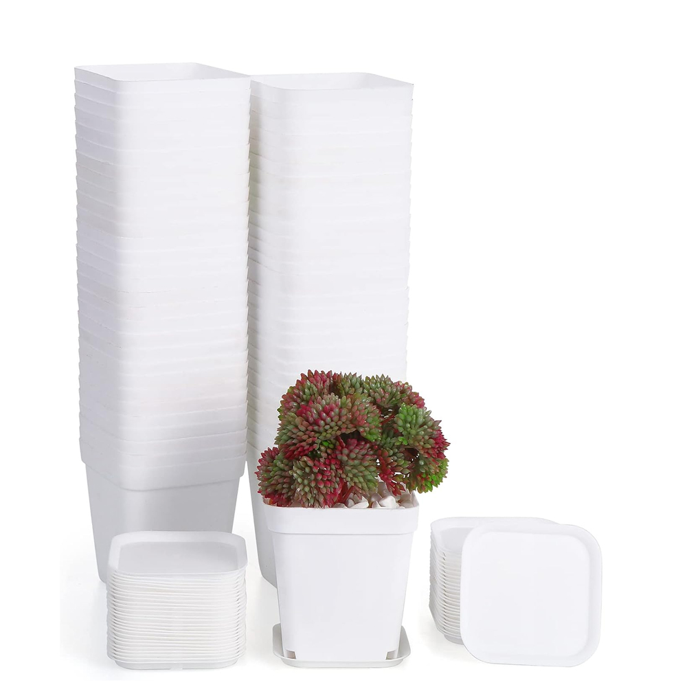 (60 Stück) Pépinière-töpfe Aus Plastique, 7-cm-töpfe Von Plantes Carrés Avec Plateaux Et Etiquette De Plante, Petits Fleurs-töpfe Aus Plastique