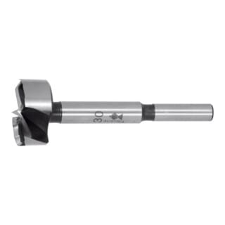 Forstnerbohrer 22 mm - Fisch