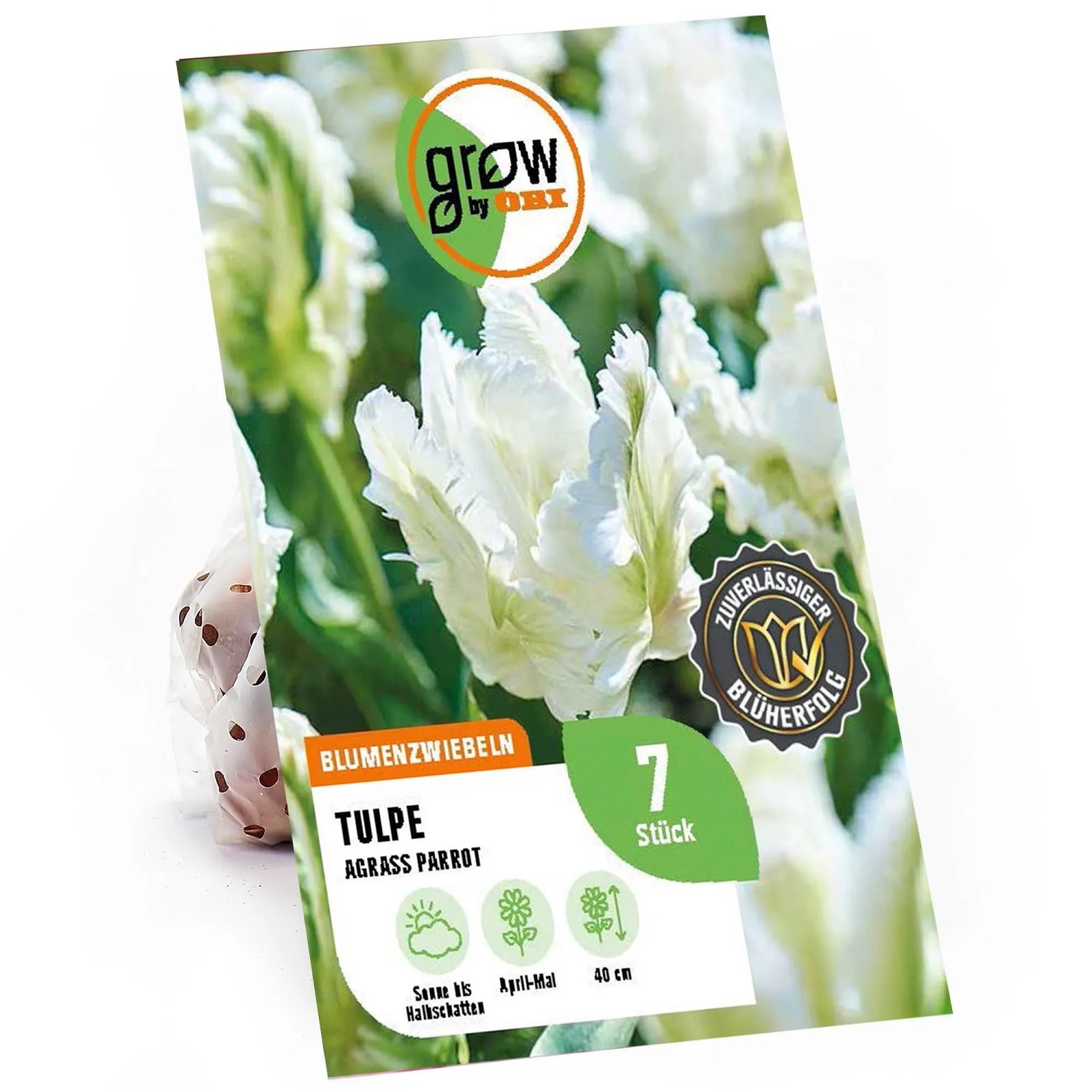GROW By OBI Tulpen Agrass Parrot Weiß 7 Stück