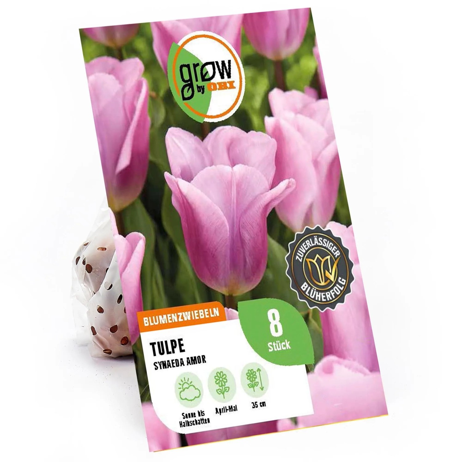 GROW by OBI Blumenzwiebeln Tulipa Synaeda Amor Rosa