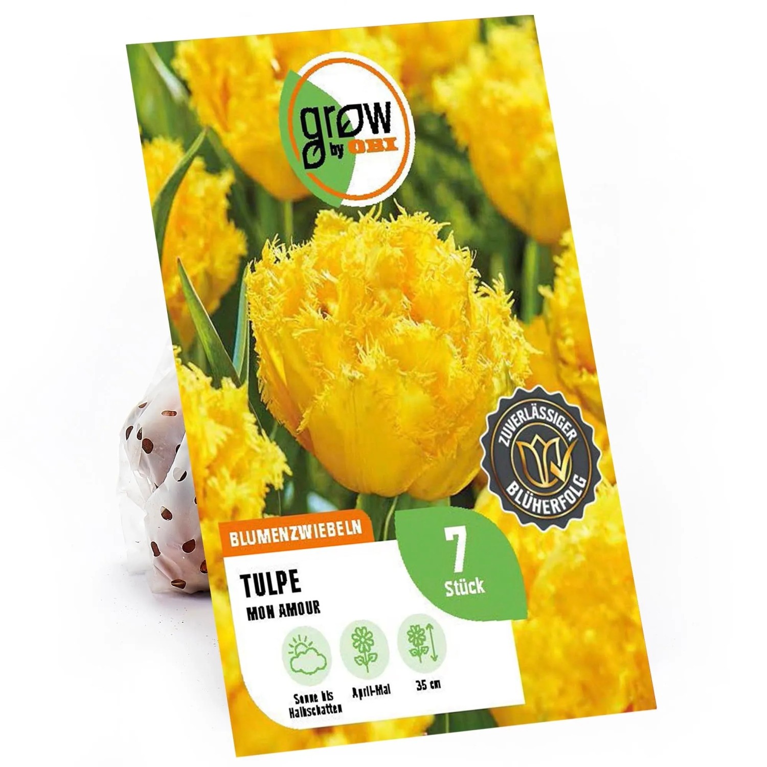 GROW By OBI Tulpen Mon Amour Creme 7 Stück