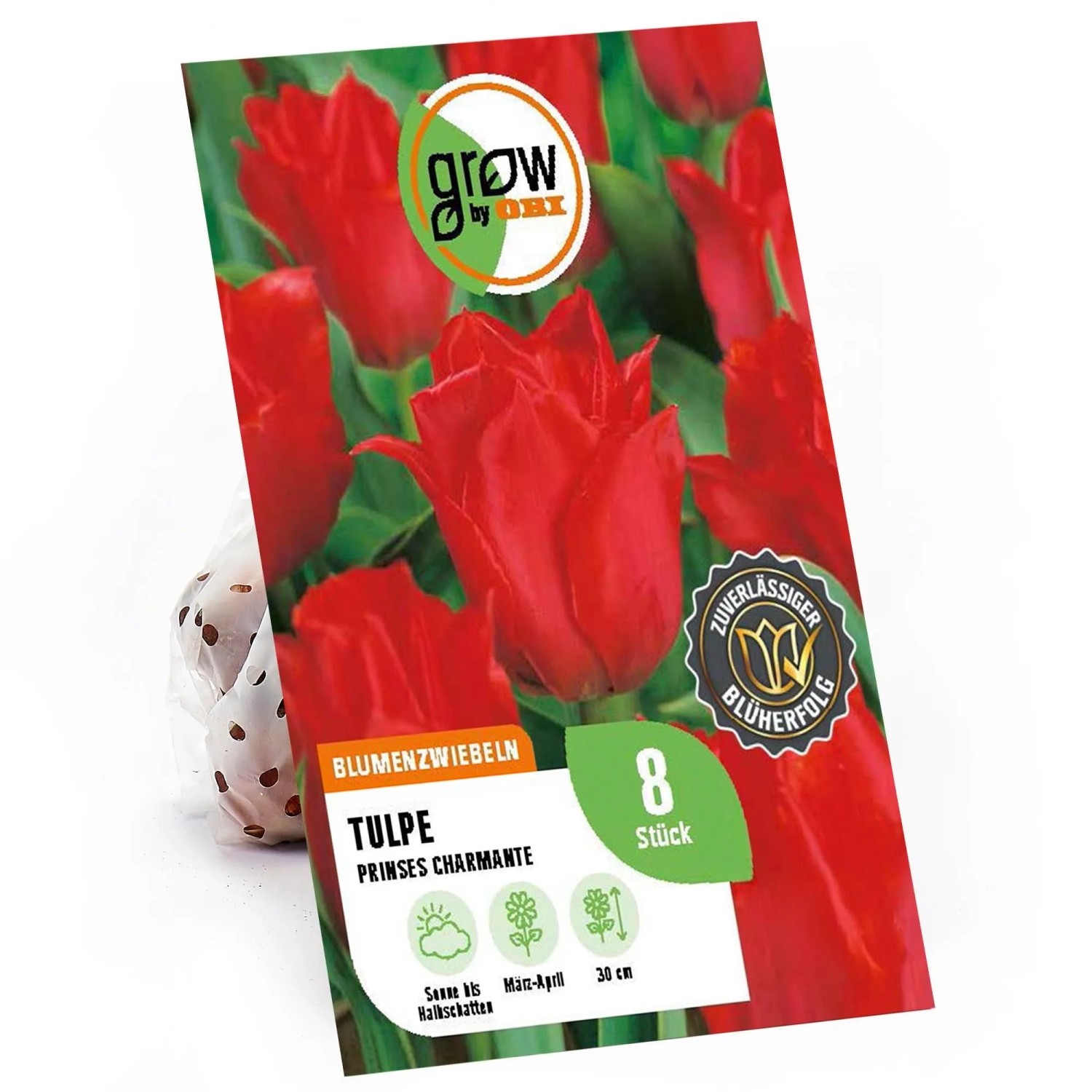 GROW By OBI Blumenzwiebeln Prinses Charmante Rosa 8 Stück