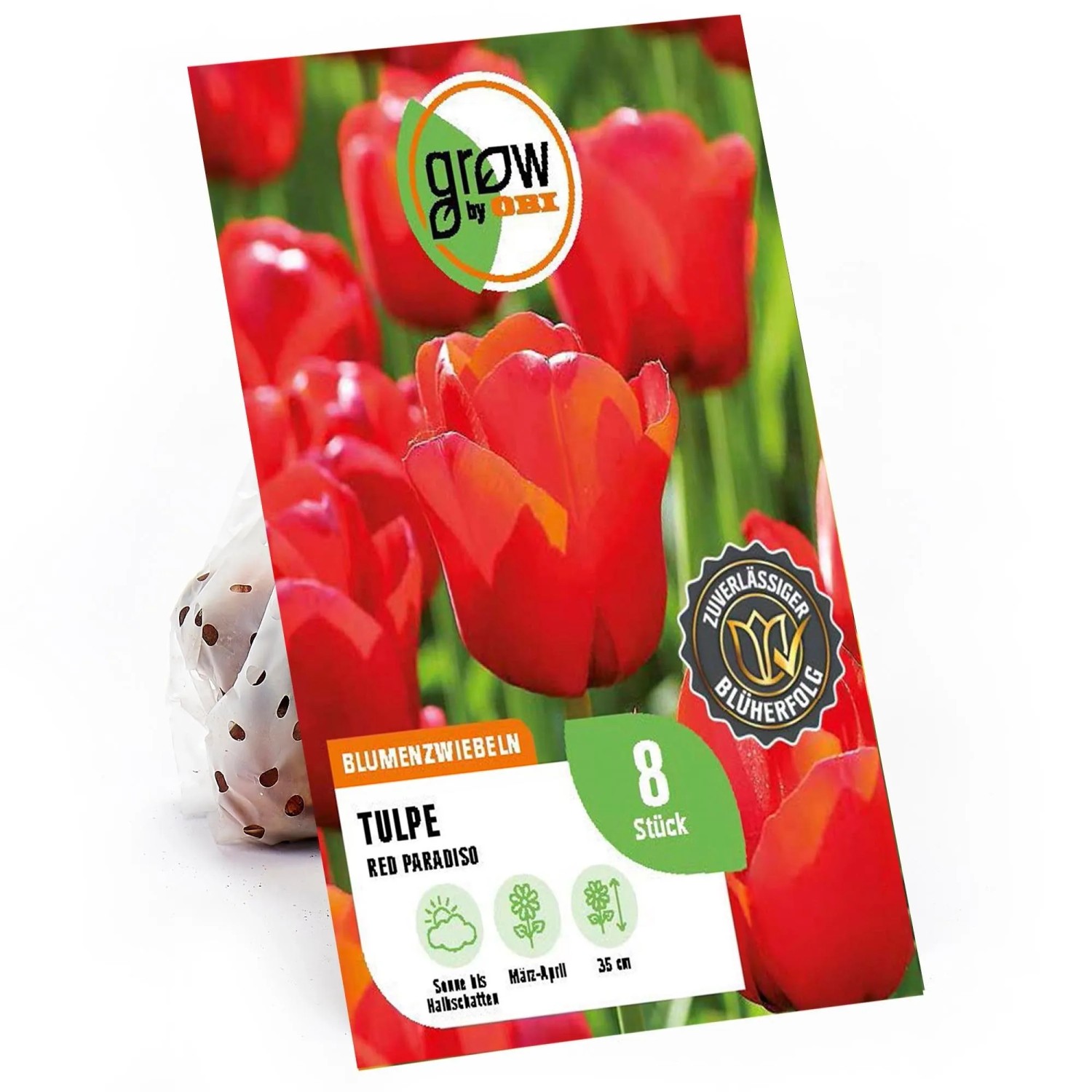 GROW by OBI Blumenzwiebeln Tulpen Red Paradiso Rot