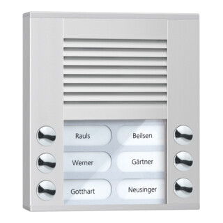 TCS Tür Control Audioaußenstation 2-reihig 6 Tasten AP silber PES06-EN/04
