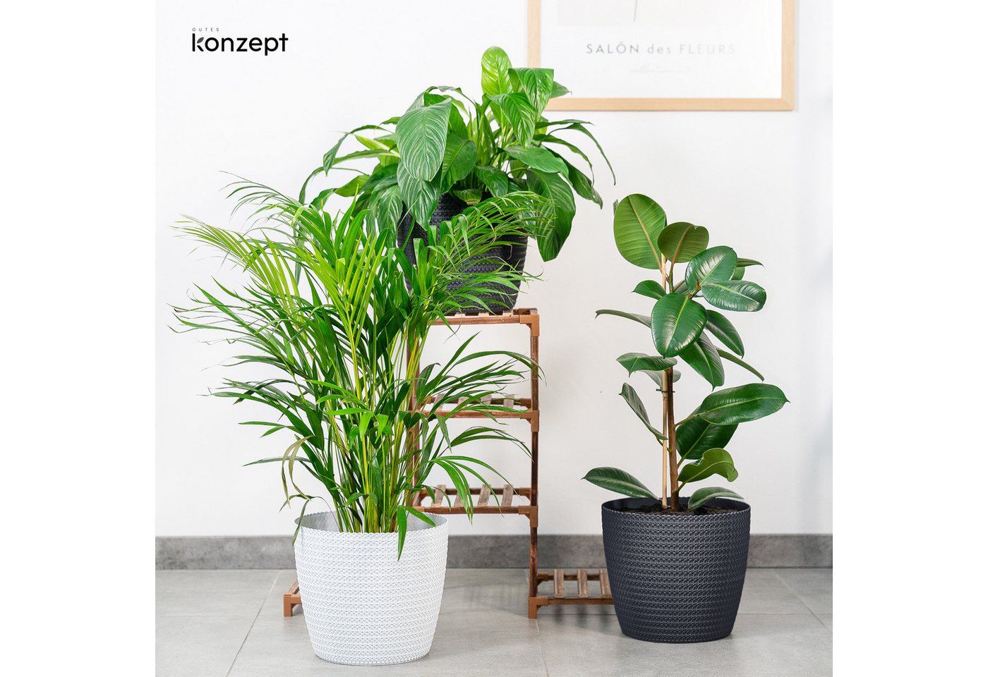 KONZEPT Übertopf groß für Zimmerpflanzen (30,6 cm, H 26,2 cm), in Strickzopf-Optik, Indoor, Outdoor, Vielseitig einsetzbar, Wetterfest, Kunststoff Bild 3