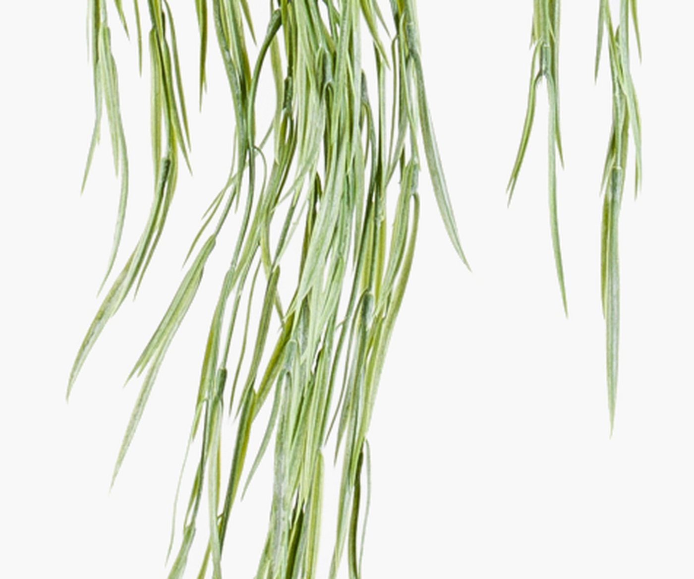 Künstliche Zimmerpflanze Trauerweiden Hänger künstlich ESGOS, grün, 85cm Weide (Trauerweide), artplants, Höhe 85.0 cm