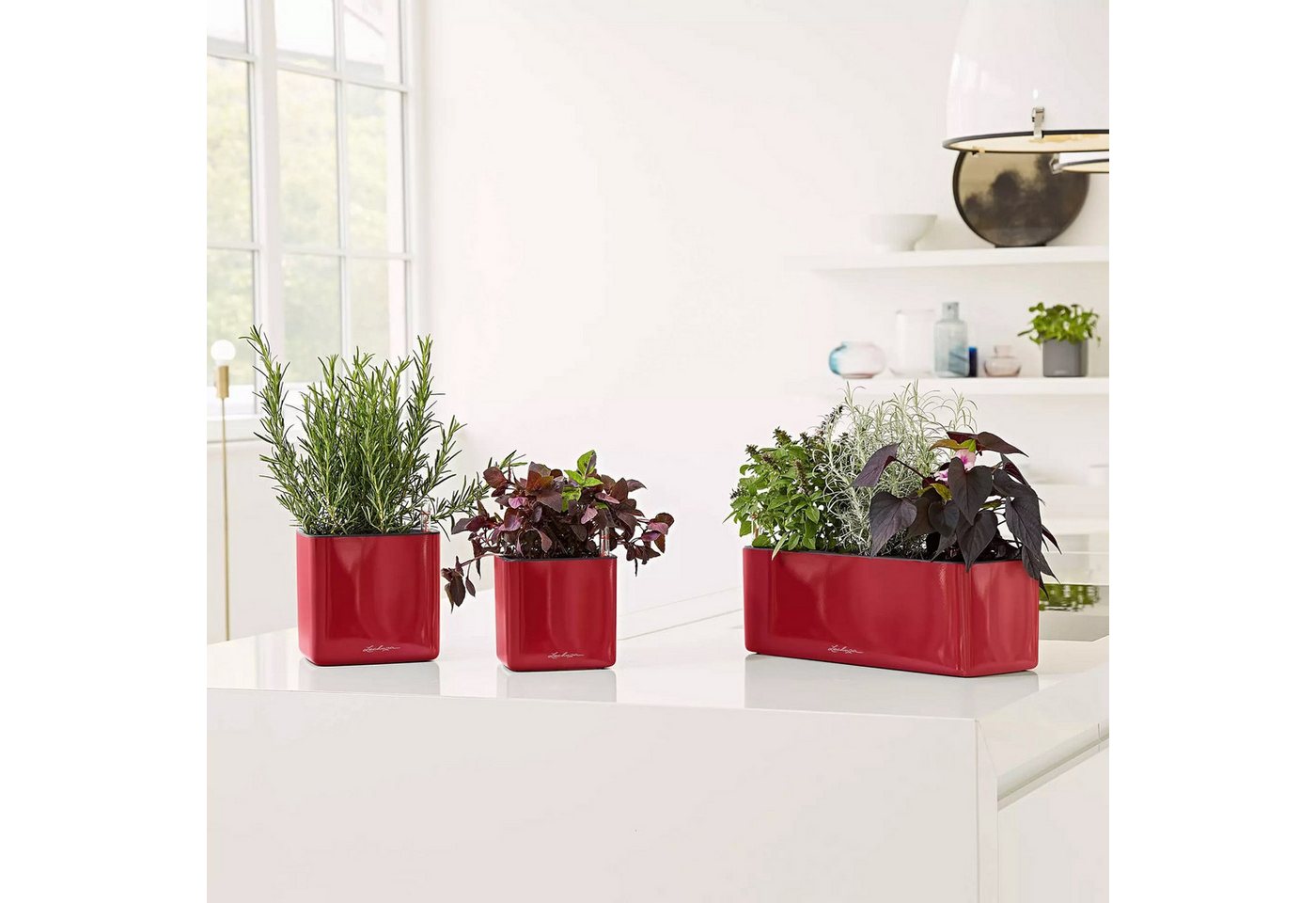 Lechuza® Kräutertopf Cube Premium 16 scarlet rot matt Bild 2