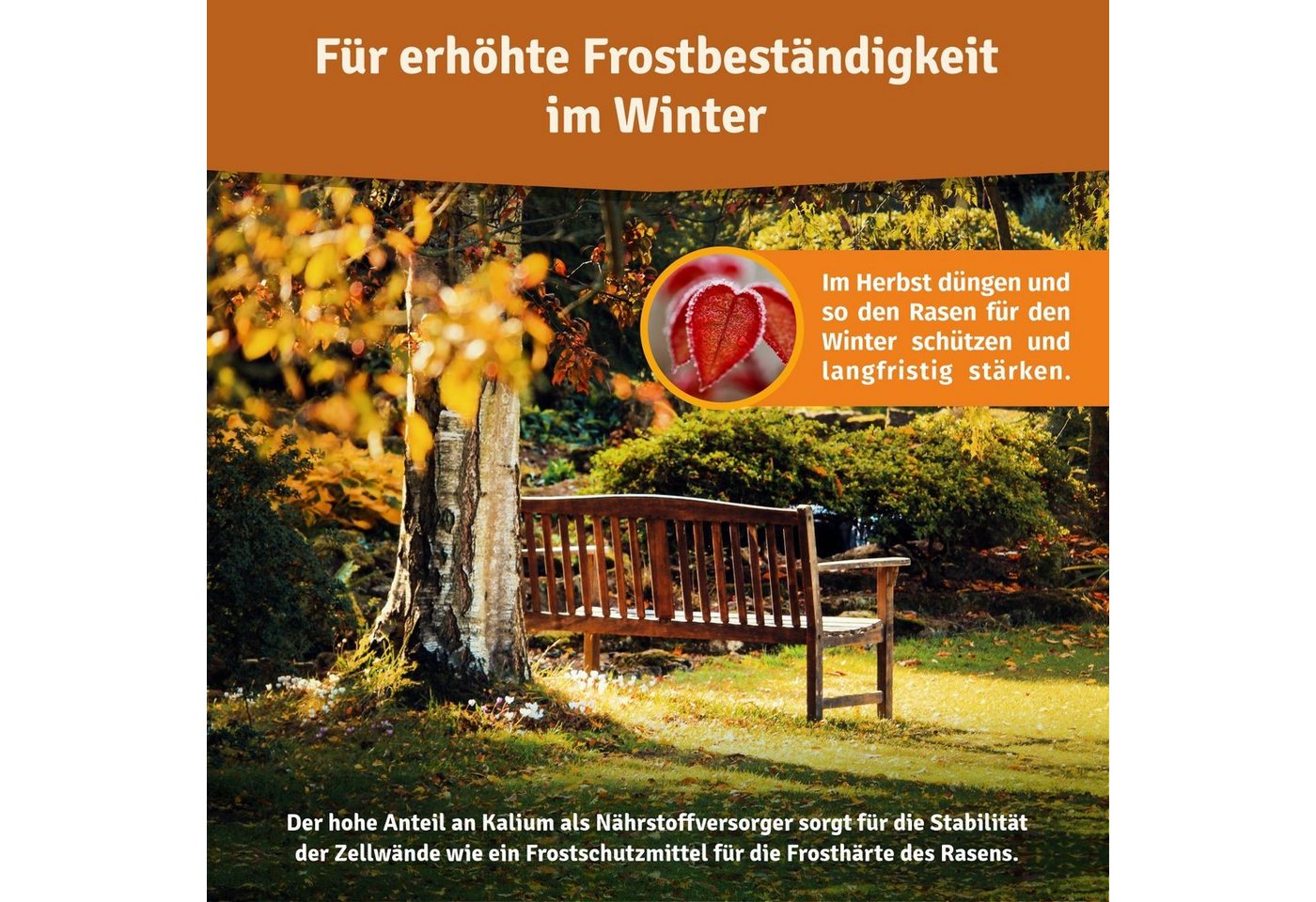 Veddelholzer Rasendünger Bio Herbstrasendünger Langzeit-Wirkung, Kalium, frostbeständigen Rasen, Rasendünger Herbst Langzeitdünger für frostbeständigen Rasen, Bodenaktivator mit Kalium organisch Herbstdünger zur Überwinterung Bild 2