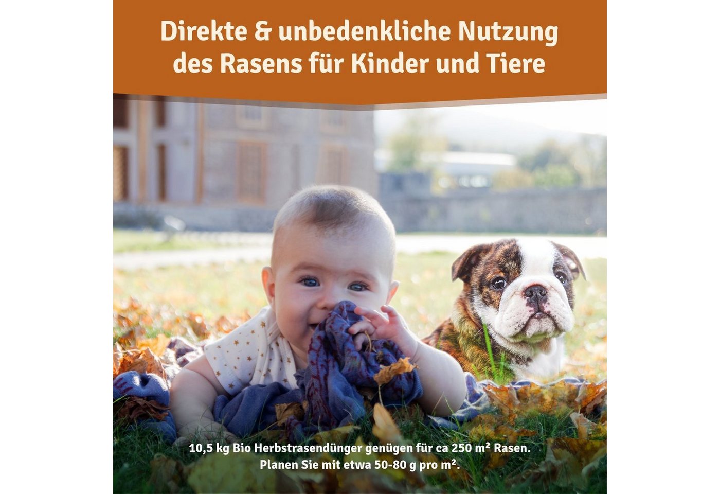 Veddelholzer Rasendünger Bio Herbstrasendünger Langzeit-Wirkung, Kalium, frostbeständigen Rasen, Rasendünger Herbst Langzeitdünger für frostbeständigen Rasen, Bodenaktivator mit Kalium organisch Herbstdünger zur Überwinterung Bild 3