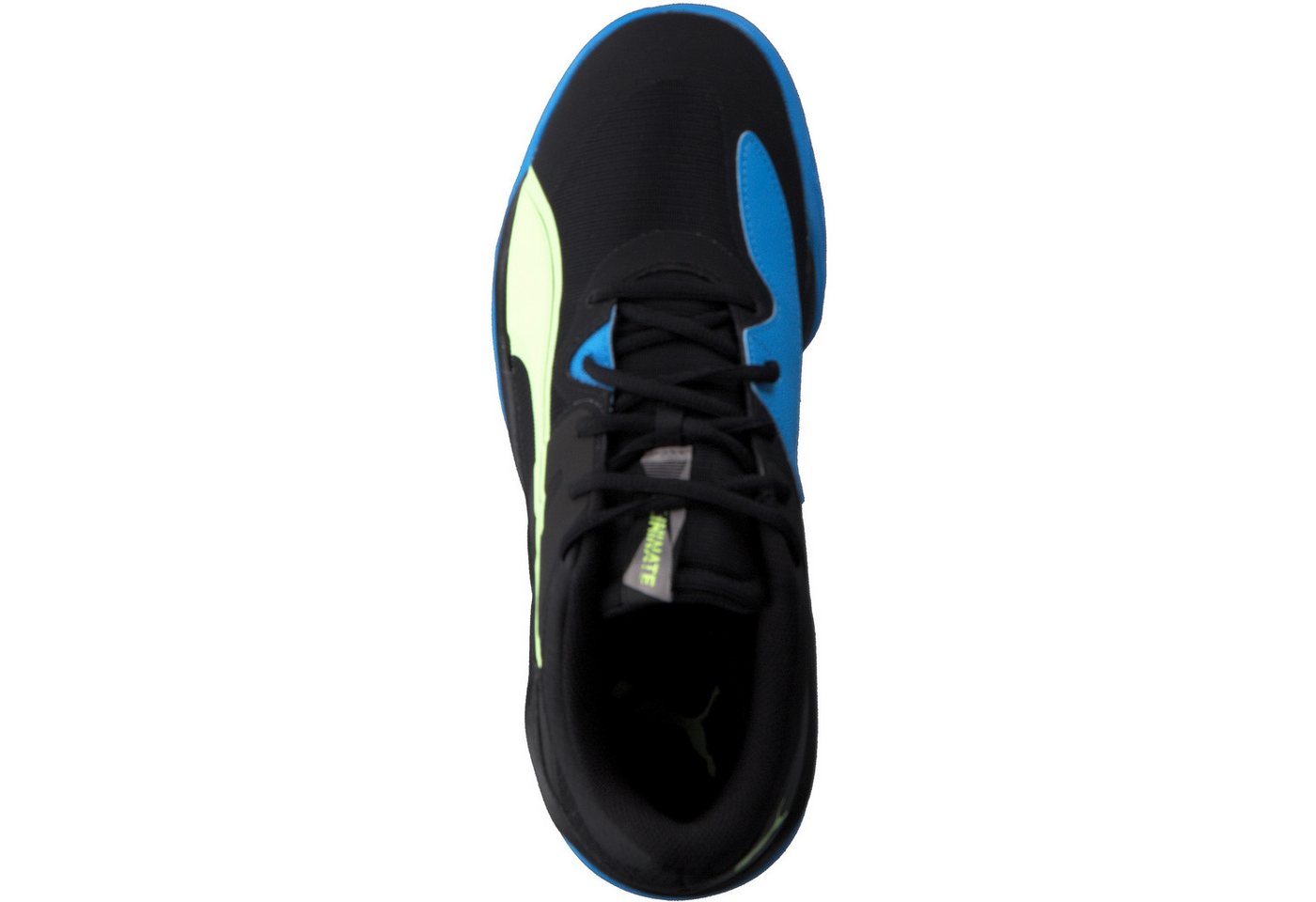 PUMA Puma Herren Handballschuhe Eliminate Pro II 106880 Hallenschuh Bild 3