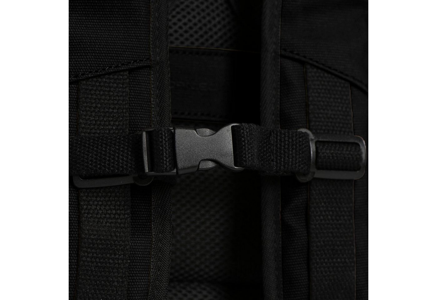 Daniel Ray Rucksack, Rolltop-Rucksack Griffith mit gepolstertem Rücken und Laptopfach Bild 2