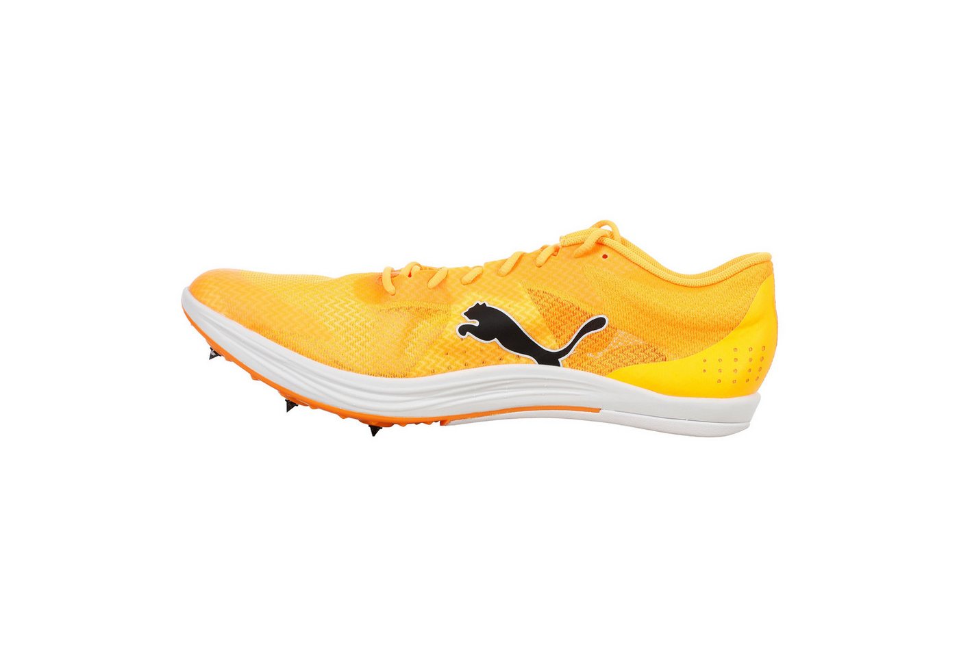 PUMA Evospeed Long Distance - Spikeschuh Laufschuh Bild 2