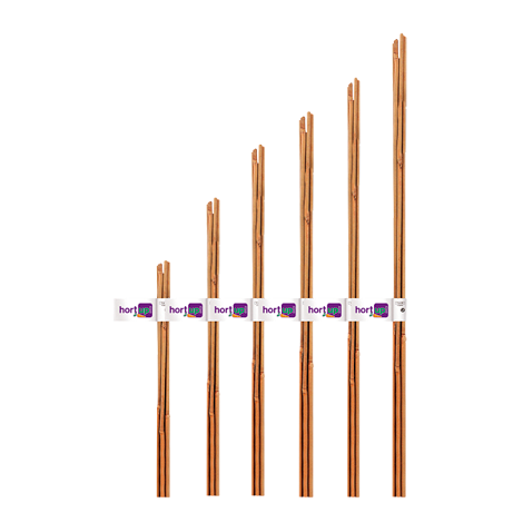 Flower - Blumenkarten-up-tutor Bambbes Natural, 10-12 Mm, 1,20 M, Pack 3 Einheiten