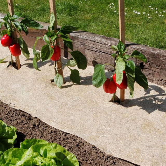 Naturmulch 75 X 500 Cm - Für Garten Und Gemüsebeet 100% Biologisch Abbaubar - 500 G/m2 Nortene