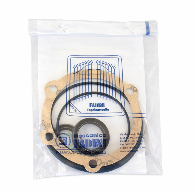 Fadini 115130 Kit Confezione Serie Guarnizioni Per Motore Nyota 115 Evo Ricambio