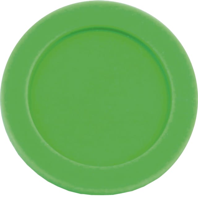 Pumpenmembran Für Sprühgerät Typ 104/08 Rau, Grünes Silikon 010008k