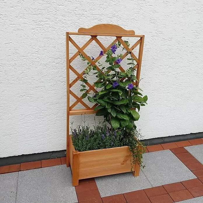 Promadino Pflanzkasten Botanica (Außenmaß (L x B x H): 69 x 32 x 139 cm, Holz, Honigbraun)