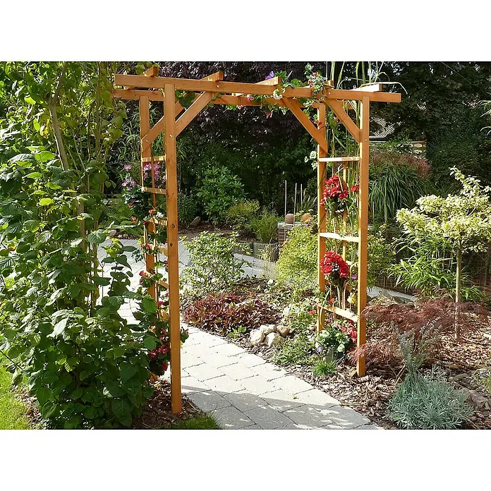Promadino Pergola Anke (60 x 200 x 210 cm, Honigbraun, Holz)