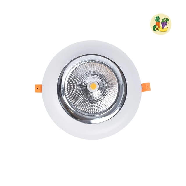 Barcelona Led - Led-downlight Speziell Für Obst Und Gemüse - 40w - Philips