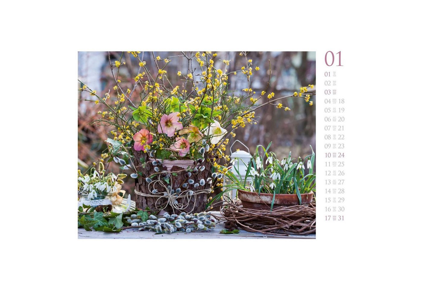 Ackermann Wandkalender Blumenzauber Kalender 2027 Bild 3