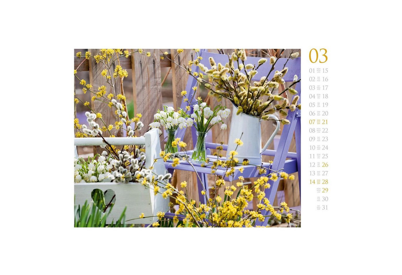 Ackermann Wandkalender Blumenzauber Kalender 2027 Bild 5