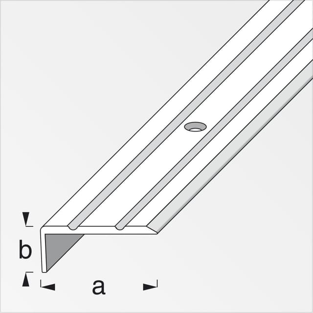 Abschlussprofil 25 X 10mm Profil Winkelprofil Übergangsprofil Abdeckprofil - Alfer