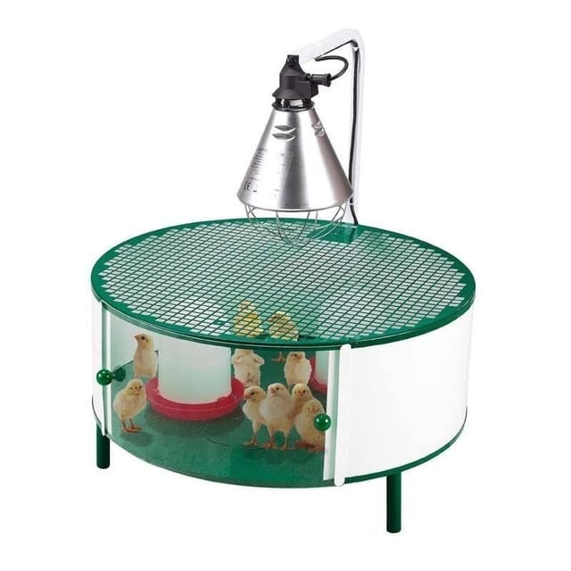 Suinga - Häuschen Für Küken Mit Zubehör Brutkasten 20-30 Küken Käfig 72x72x79 Cm Heizung, Futterspender, Trinkspender