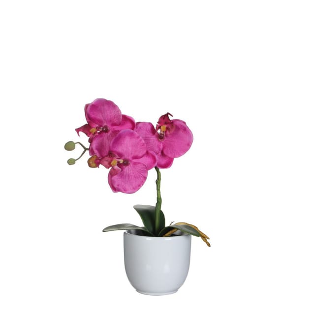 Mica Decorations - Mica Kunstpflanze Phalaenopsis Im Topf Violett, 26 X 12 Cm Kunstpflanzen