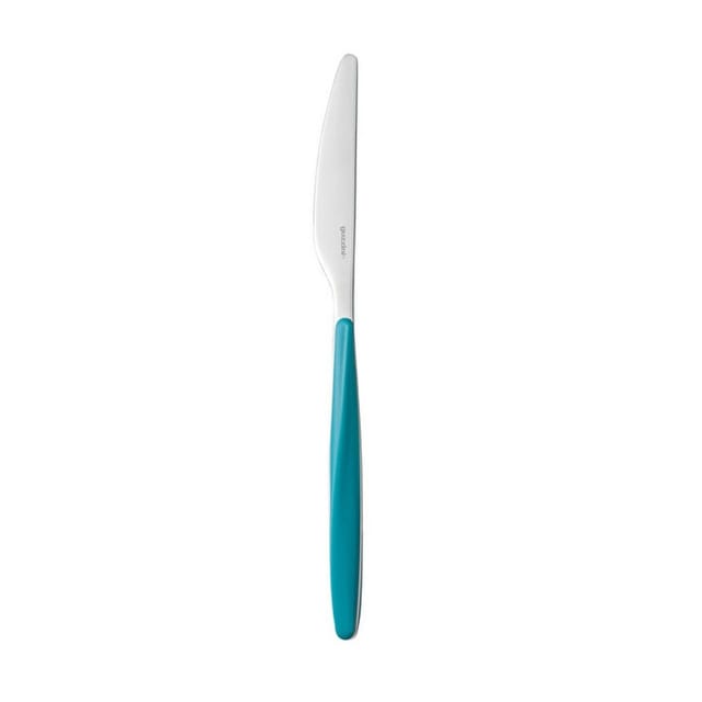 Mein Fusion Guzzini Türkisfarbenes Messer