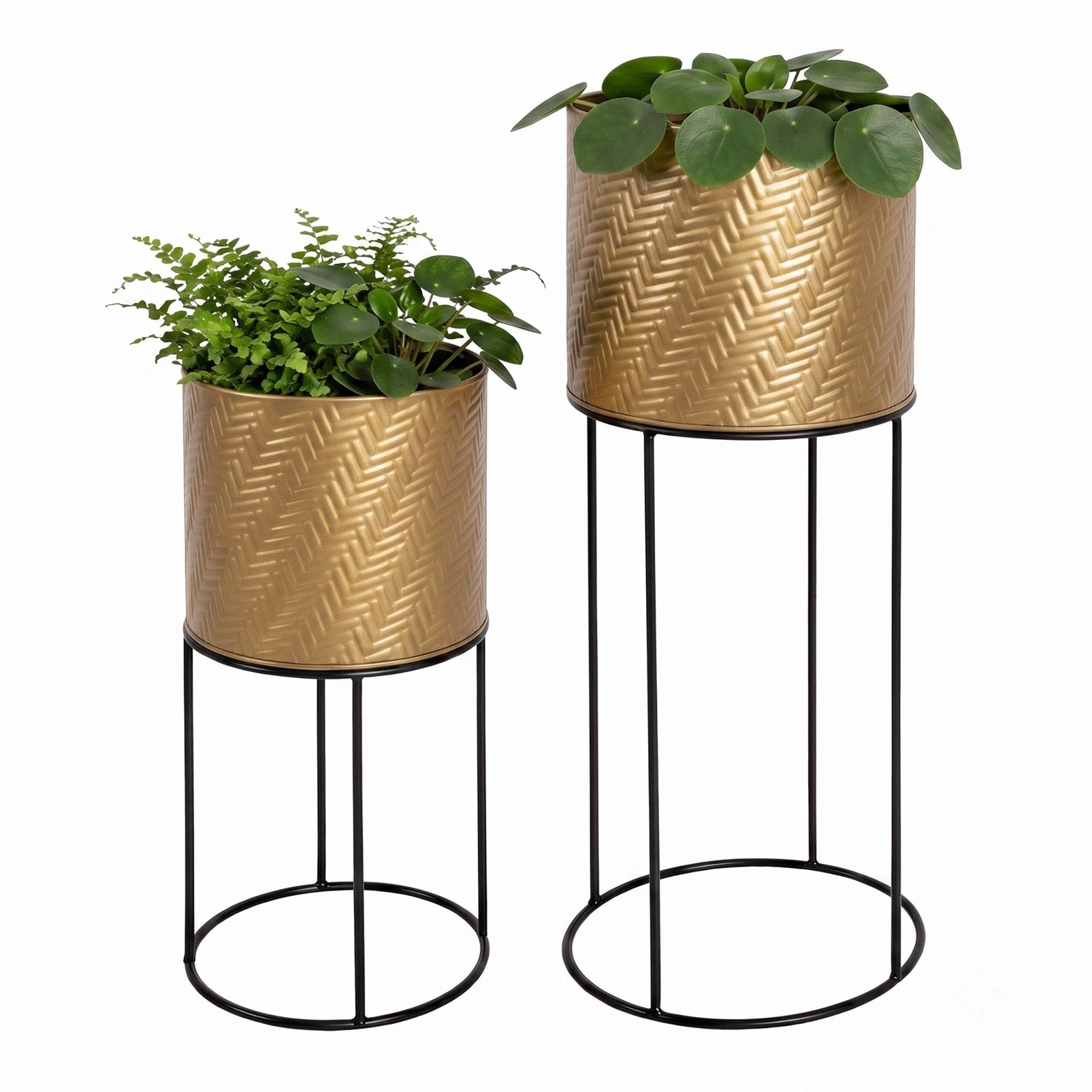 Metall-pflanzenständer-set, 2er-set, Schwarz-gold, Verzinktes Eisen