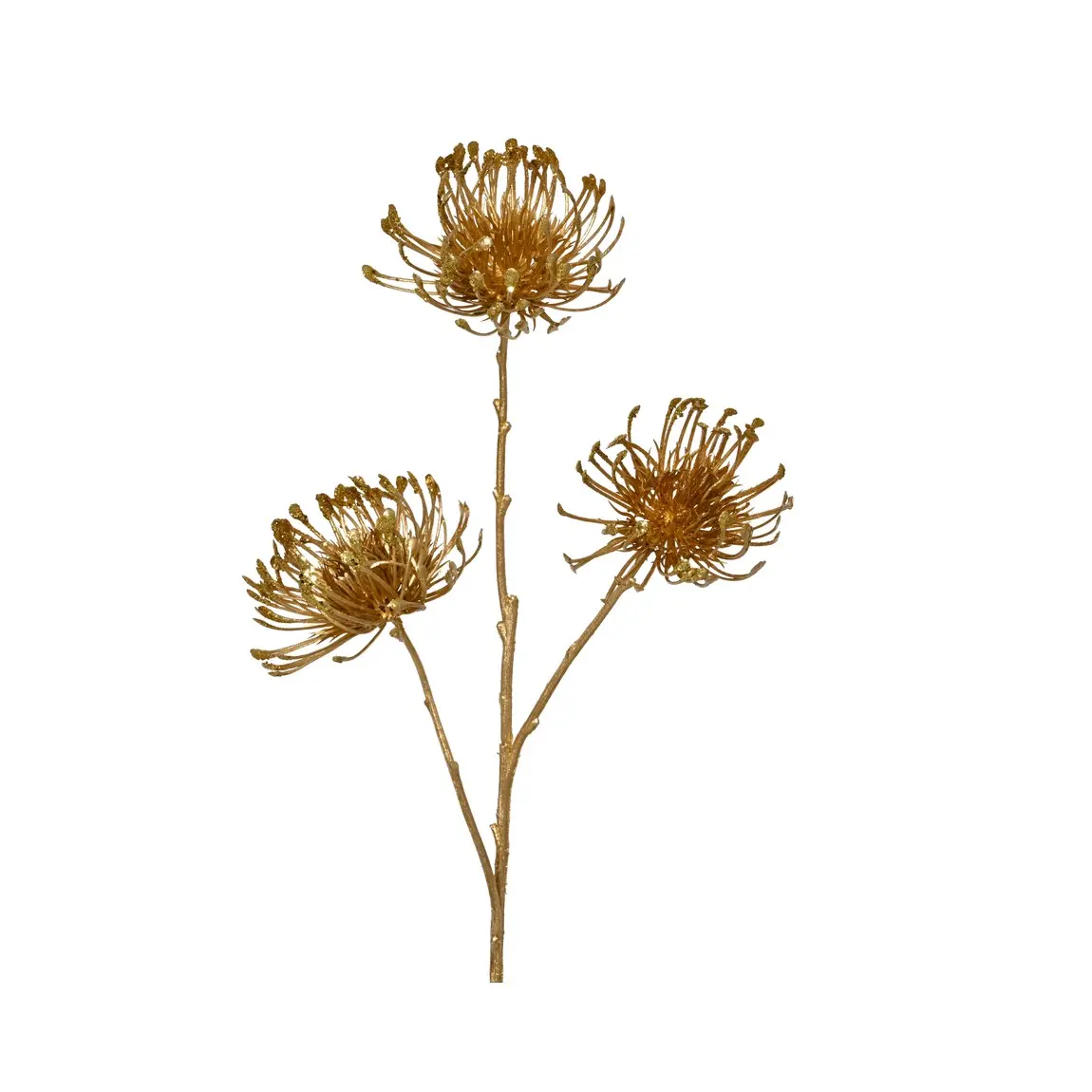Dekorativer Goldmetallisierter Kardiramo 75 Cm