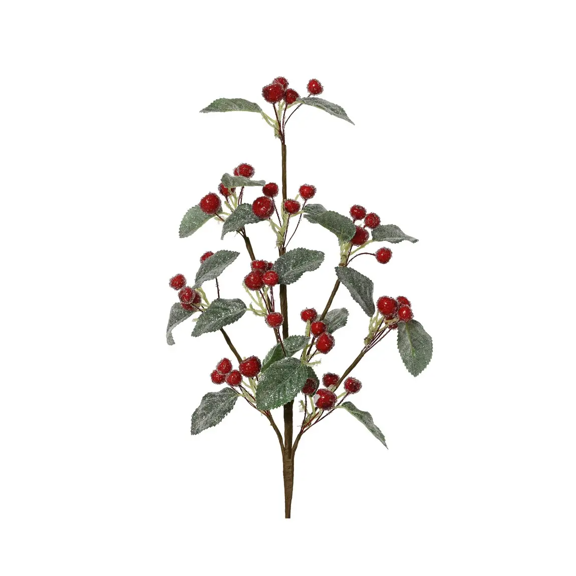 Dekorativer Pe-ramo Mit Erbsenblättern, 65 Cm Hoch