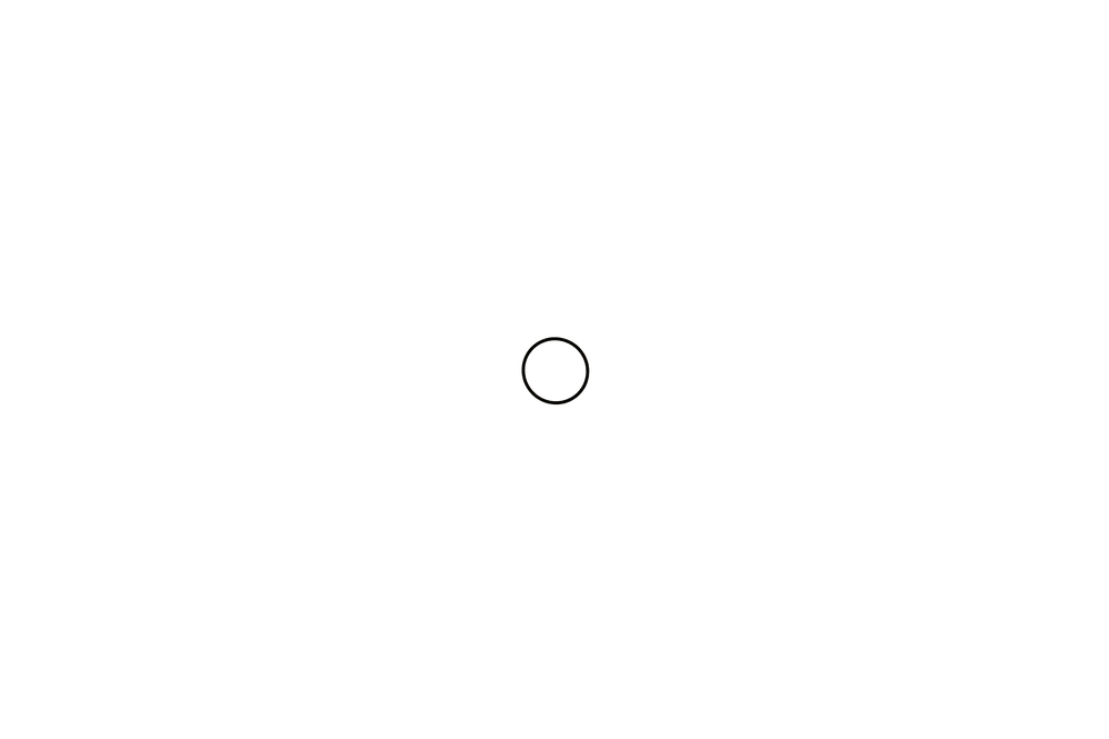 Brötje O-ring Für Gasventil , 955102