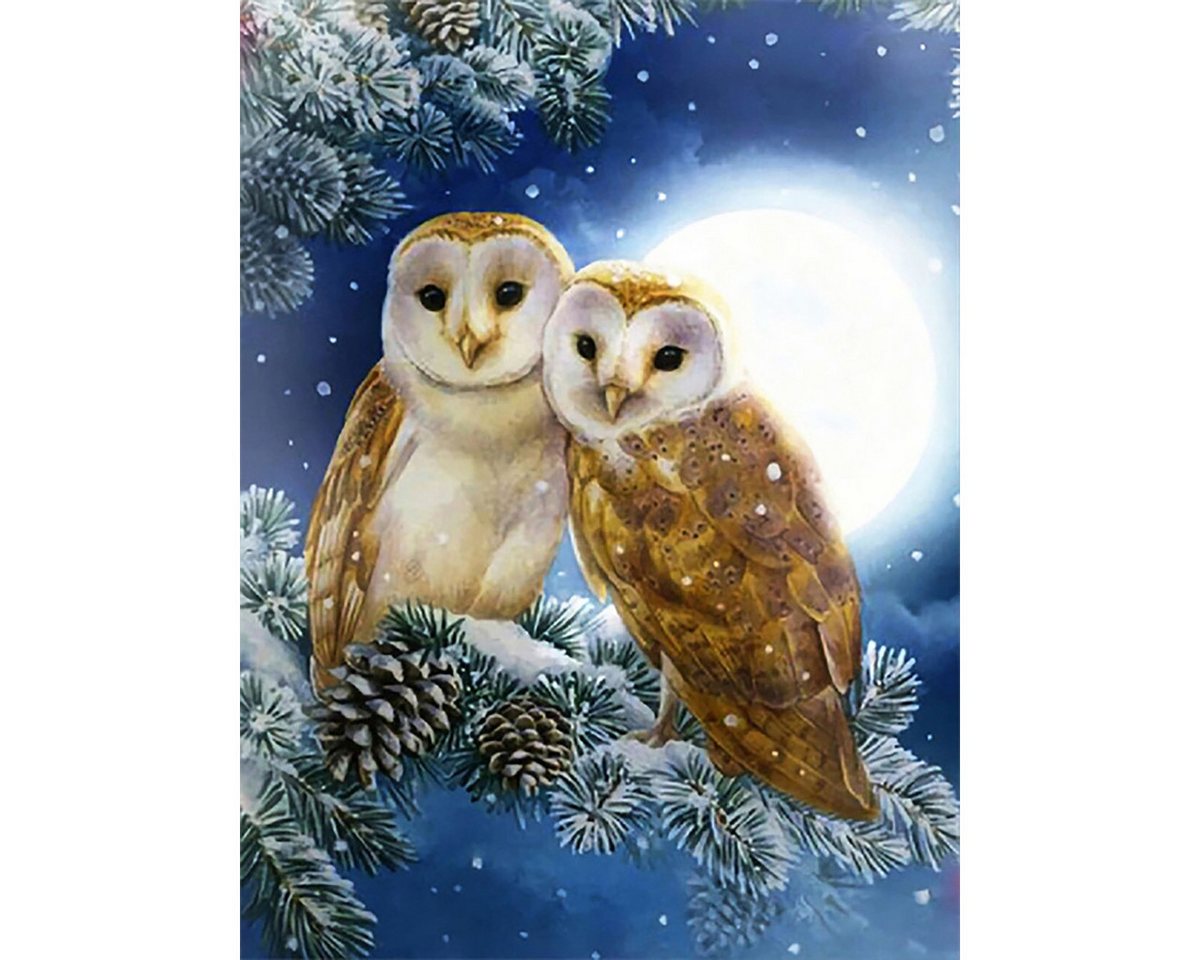 Pracht Malvorlage PRACHT Diamond Painting Eulen 50x40cm
