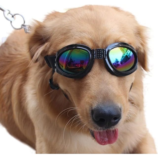 Hunde-sonnenbrille – Haustierzubehör – Sonnenbrille Für Große Hunde – 1 Stück – Schutzbrille – Sonnenbrille Für Große Hunde (schwarz)