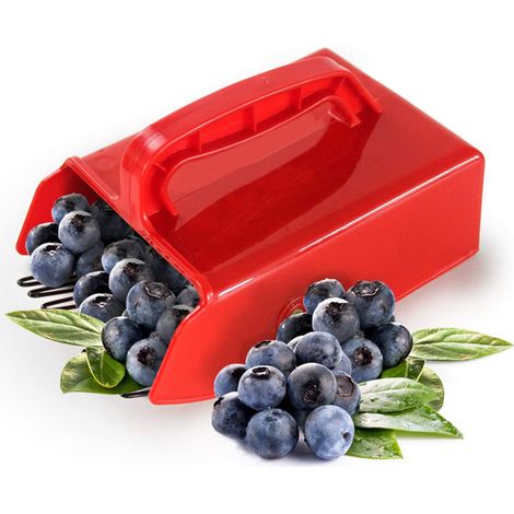 Blueberry Picker - Plastic Berry Rake With Metallic Comb - Ergonomic Handle - For Blueberries Lingonberries Huckleberries - 1 Piece