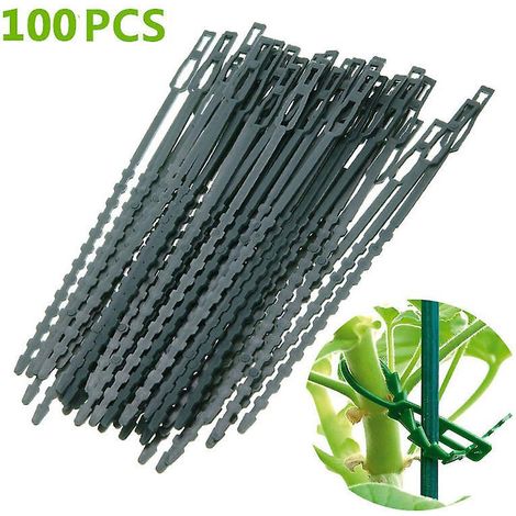 Packung Mit 100 Mehrzweck-pflanzenbindern In Fischgrätenform, 13 Cm Lang, Grün