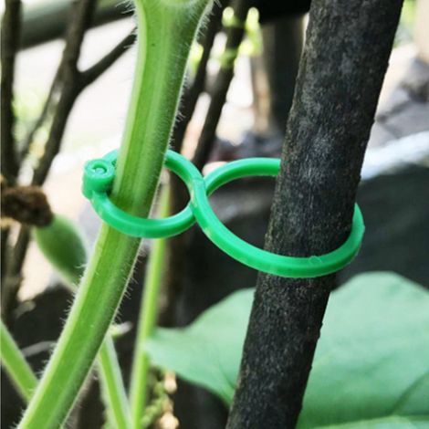 200 Stück Kleine Gartenclips, Pflanzenstützclips, Gedrehte Pflanzenringe Für Kletterpflanzen