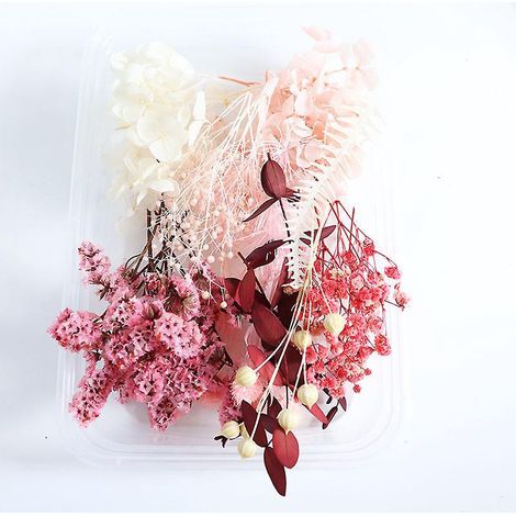 Schachtel Mit Echten, Natürlich Getrockneten Blumen, Gemischt Mit Verschiedenen Getrockneten Blumen Für Diy-bastelarbeiten Und Handgefertigte Heimdekoration