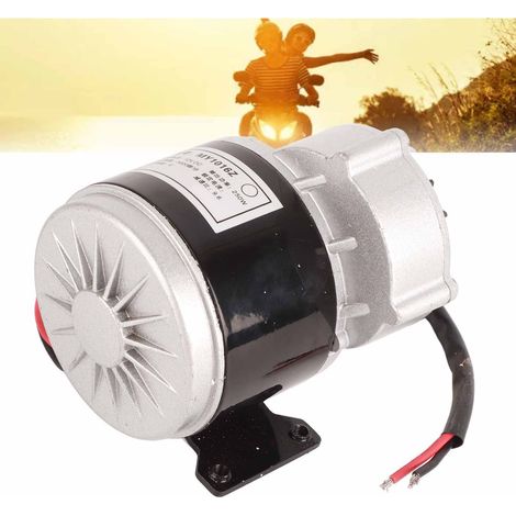 12v 250w Gleichstrommotor Mit 13-zahn-getriebe Für Elektrofahrräder, Gartengeräte Und Landmaschinen