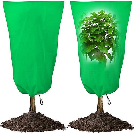 2er-pack (120 X 180 Cm) Grüne Winterabdeckung, Pflanzenschutzabdeckung Für Den Winter