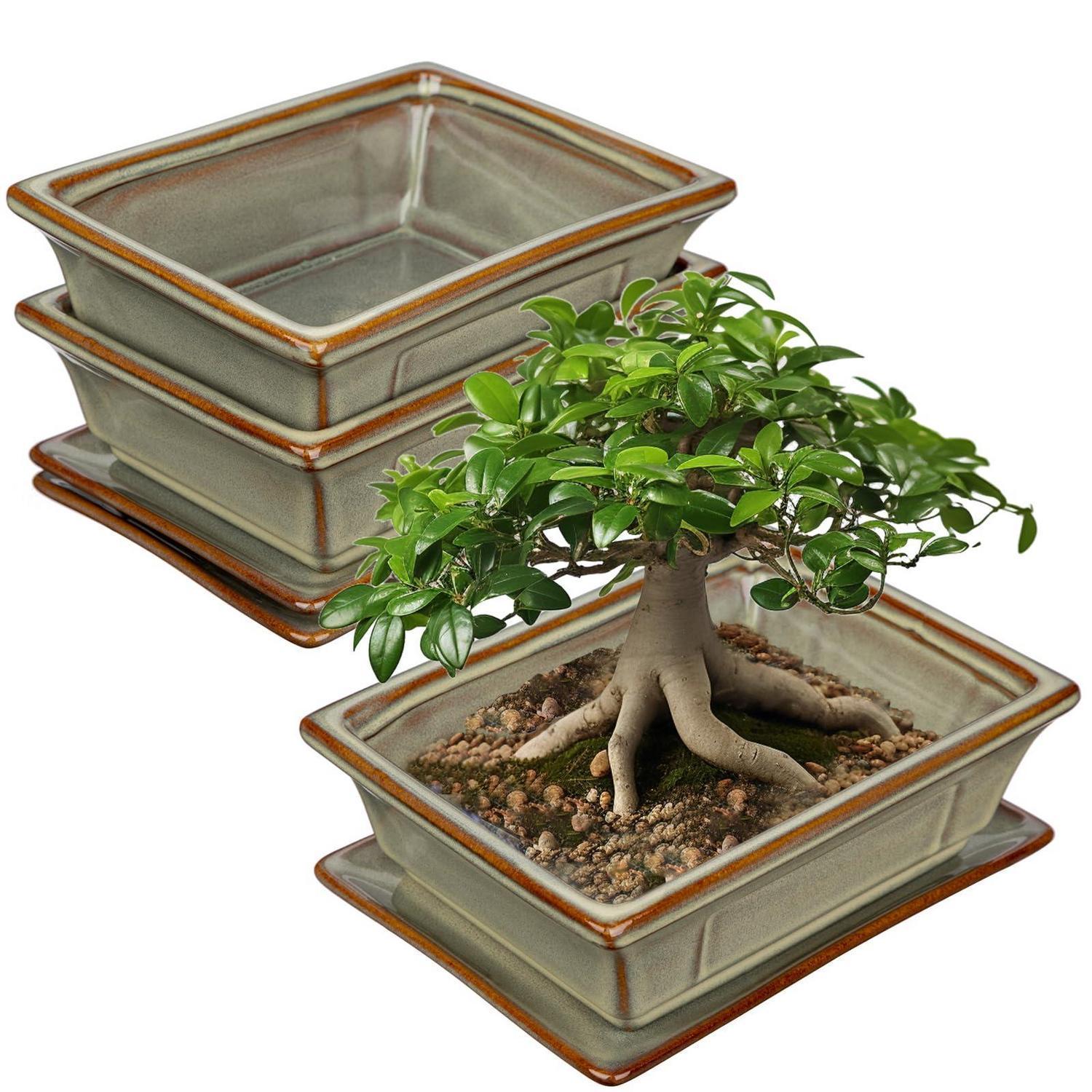 2er-set Keramik Bonsai-töpfe Mit Untersetzer, 19cm, Braun