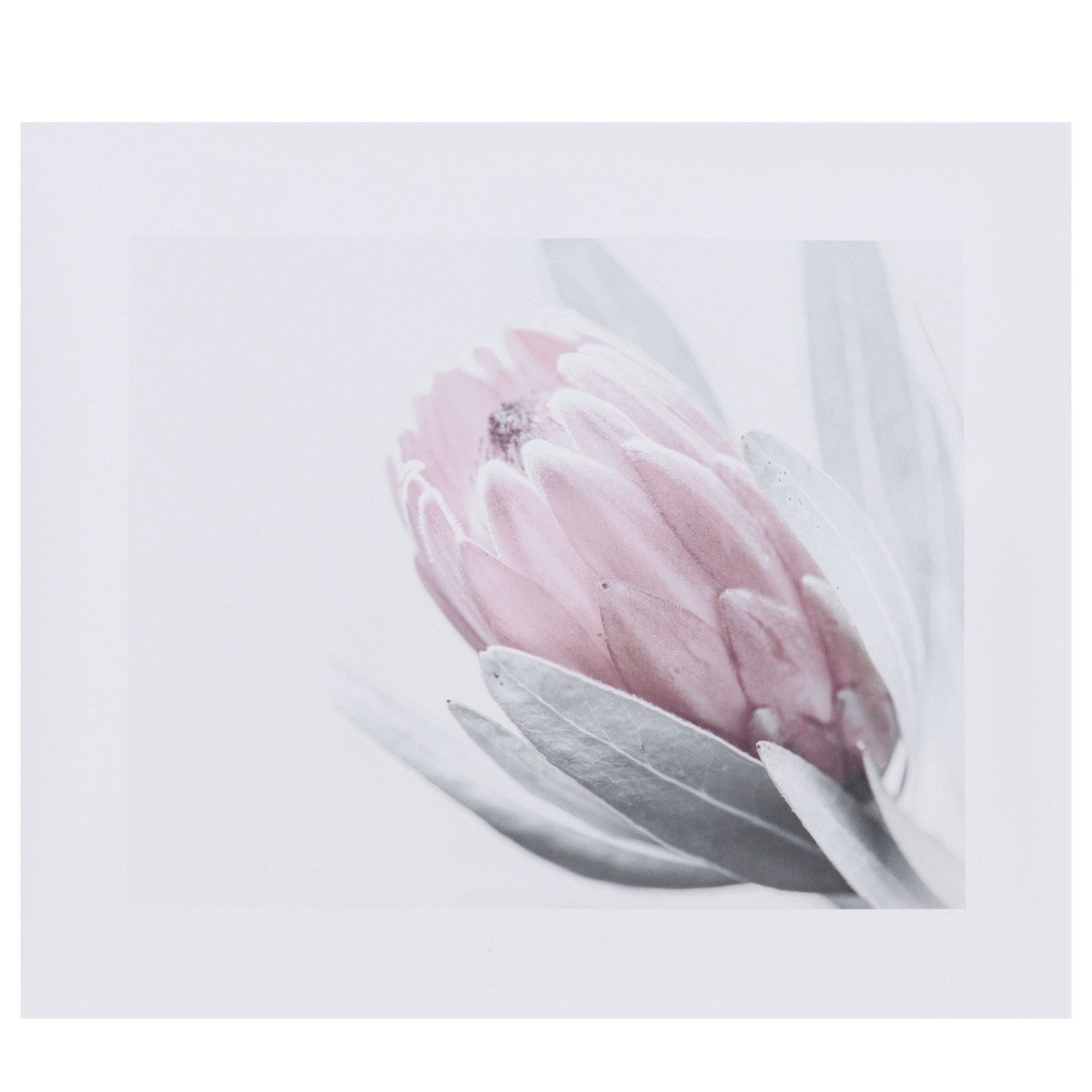 Dekorativer Leinwanddruck Mit Rosa Blumen (ungerahmt) Für Wohnzimmer, Schlafzimmer, Büro, Küche
