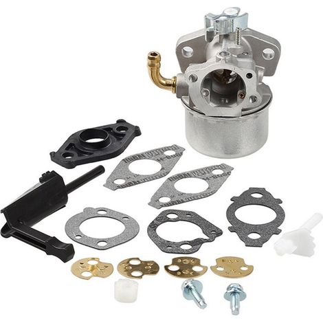 Vergaser Kompatibel Mit Den Meisten Briggs & Stratton Motoren 150000, Teilenummern 798654 Und 792970.