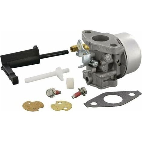 Carburateur Pour 798653