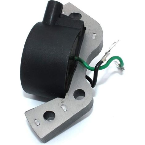 Zündspule Für Außenbordmotoren Johnson Evinrude 0582995 0584477 0580416 0582370 0582931 0580971 Omc 584477 580118 580197 580416 582370 582921 582995 Lawn-boy 580184 582463 580198 582396