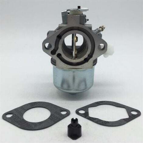 Carburateur Briggs & Stratton Briggs & Stratton 699831 283702 694941